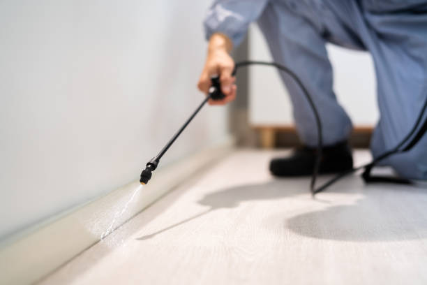 Pest Control for Restaurants in El Rancho, NM