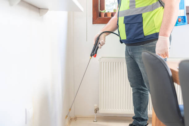 Best Pest Control Near Me  in El Rancho, NM