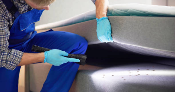Best Residential Pest Control  in El Rancho, NM