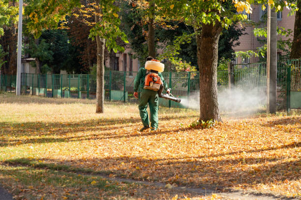Best Pest Control for Restaurants  in El Rancho, NM