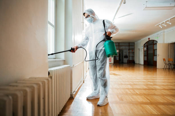 Best Best Pest Control Companies  in El Rancho, NM